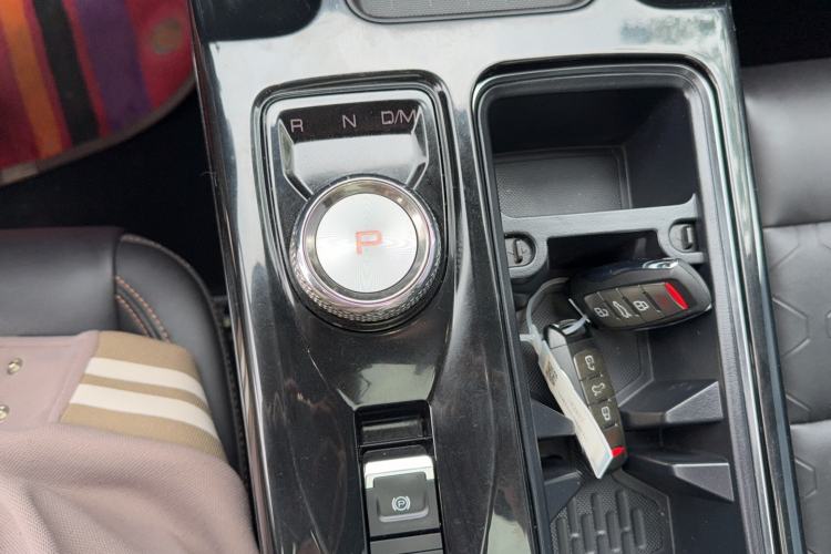 Used Haval DARGO 2022 2.0T DCT 4x4 Chinese Rural Dog Edition Gear Lever