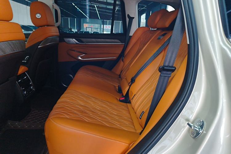 Used Tank 500 2023 3.0T Business Edition "Creation" Style 5 Seats