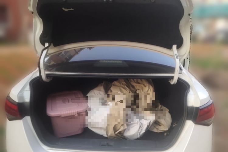 Used Nissan Sylphy 2023 1.6L CVT Enjoyment Edition