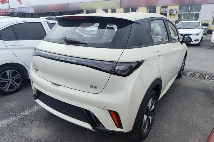 Used BYD Dolphin 2025 420km Free Edition