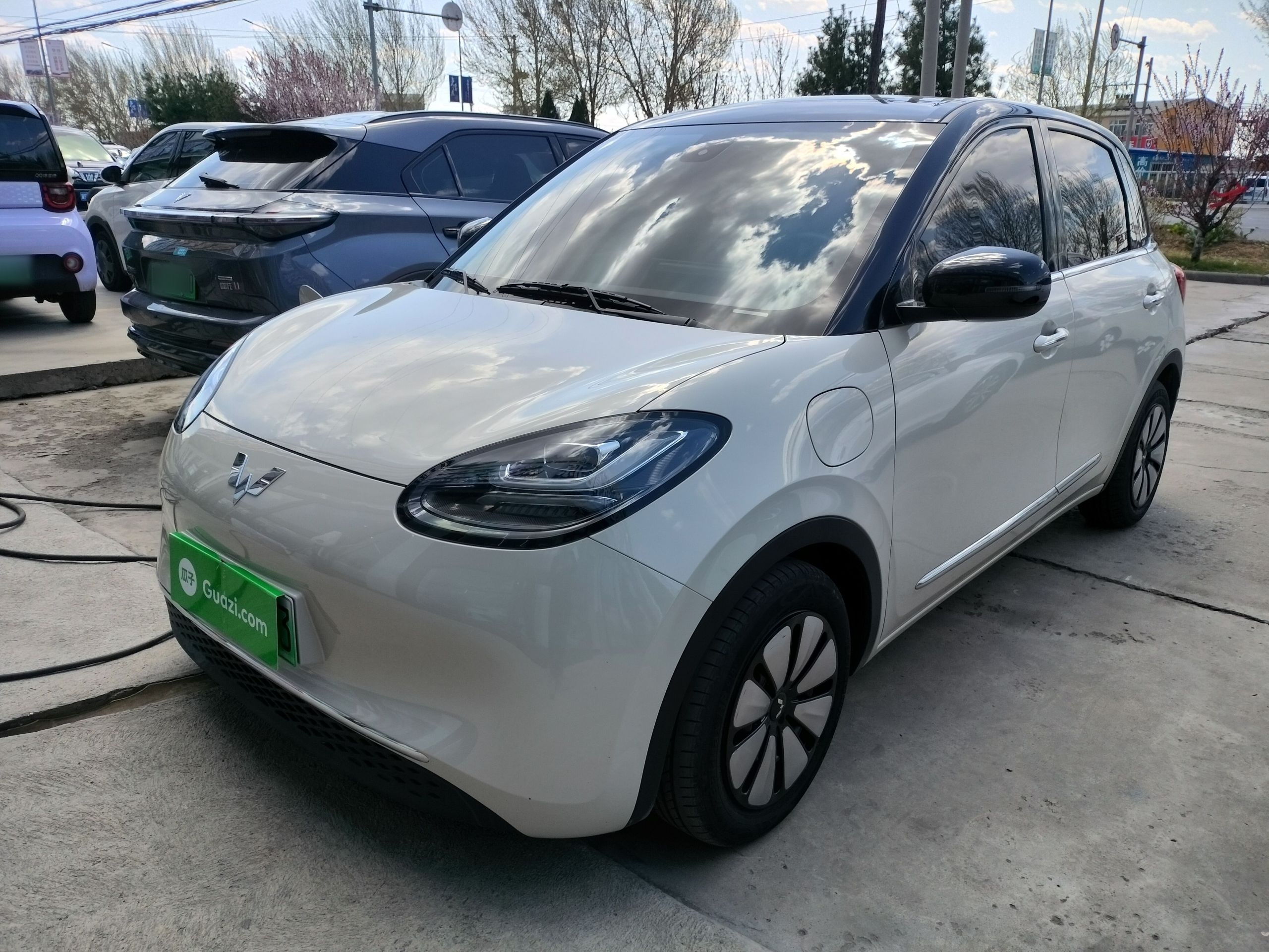 Parte inferior delantera