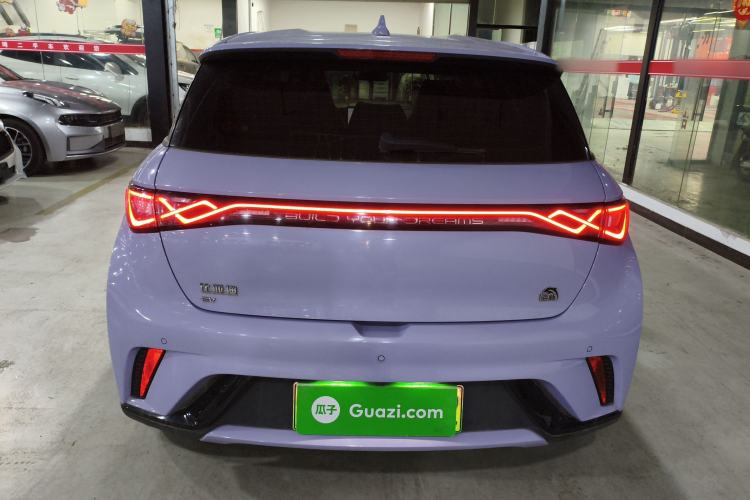 Used BYD Dolphin 2023 420 km Free Version Rear