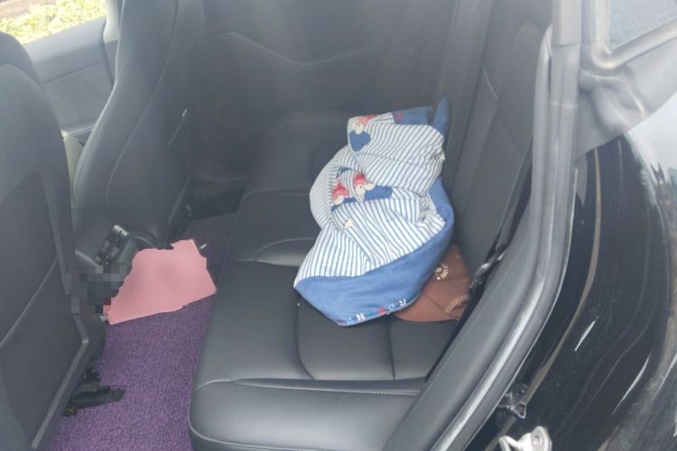 Used Tesla Model 3 2021 Revised Version Standard Range Rear-Wheel Drive Upgraded Edition 3D1
