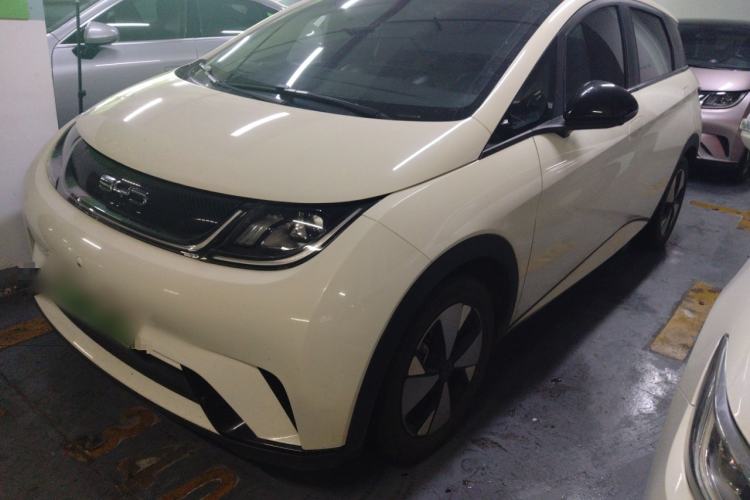 Used BYD Dolphin 2023 420 km Free Version