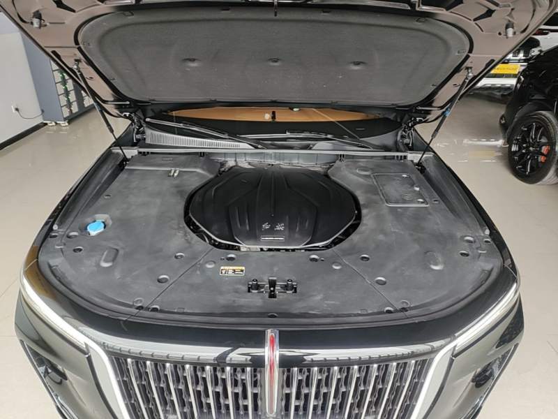 Used Hongqi H9 2020 2.0T Smart Connect Flagship Edition – Chinese Trim Xiang — 19