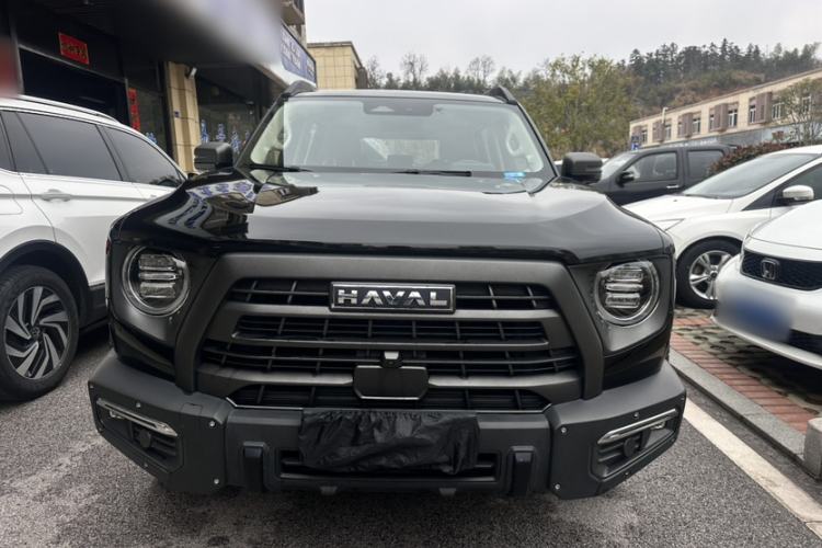 Used Haval DARGO 2024 2.0T DCT Chinese Rural Dog Edition
