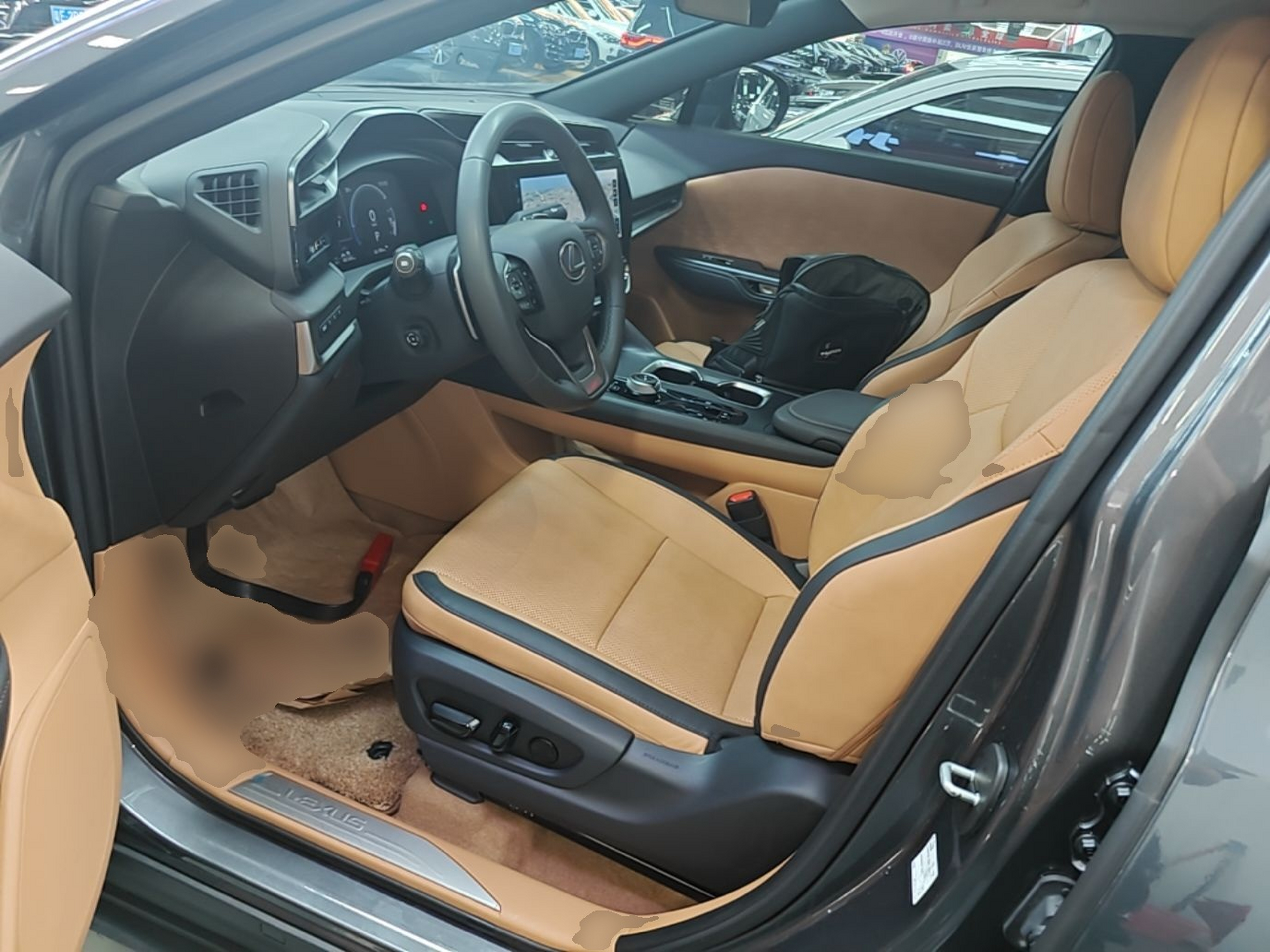 Interior delantero
