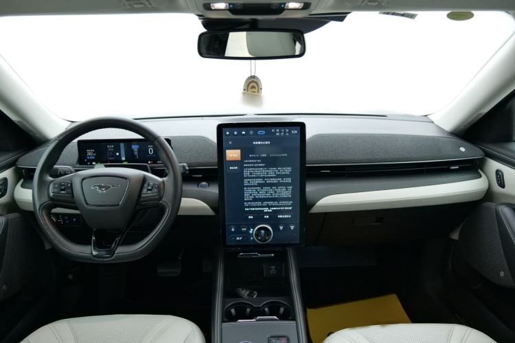 Used Ford Mustang Mach-E 2021 AION Y Plus Rear-Drive Luxury Edition (Long Range)
