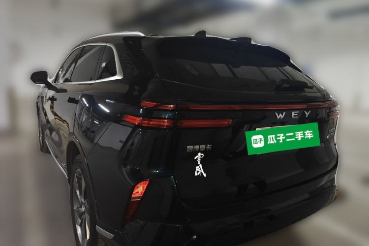 Used Wey Mocha New Energy 2023 Two-Wheel Drive Long-Range Version