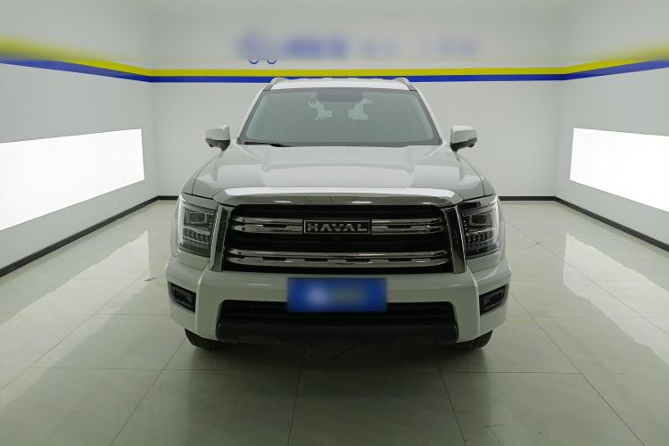 Used Haval H5 2023 2.0T Automatic Two-Wheel Drive LinkedIn Gasoline
