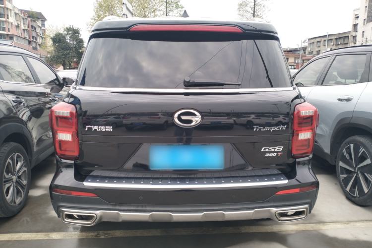 Used GAC Trumpchi GS8 2020 390T Two-Wheel Drive Prestige Version (7 Seats)
