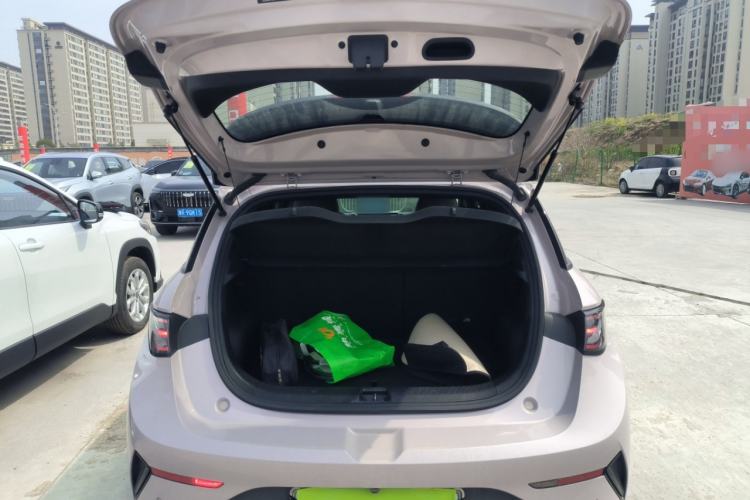 Used BYD Dolphin 2025 Intelligent Driving Version 410 km Fashion Edition