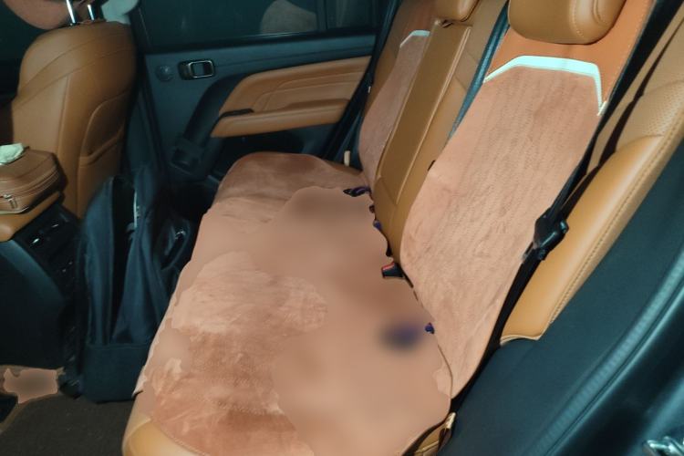 Used Haval H9 2024 2.0T Gasoline 4x4 Territory Edition
