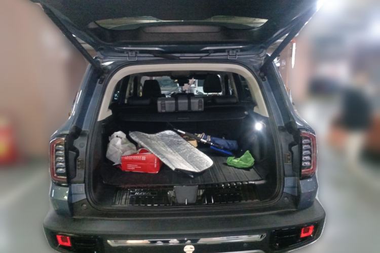 Used Haval DARGO 2021 2.0T DCT 4x4 Chinese Rural Dog Edition
