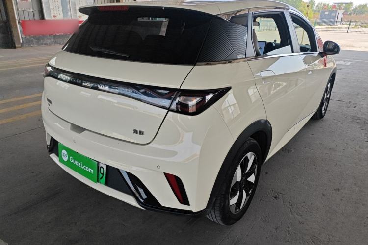Used BYD Dolphin 2024 Honor Edition 420km Freedom Version Rear Right 45 Deg
