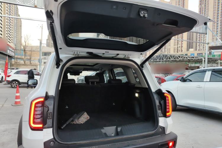 Used Haval DARGO 2024 2.0T DCT Chinese Rural Dog Edition