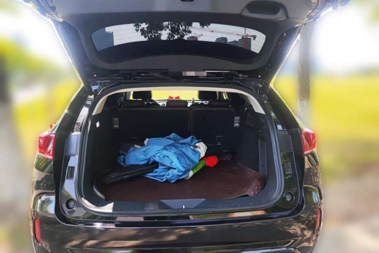 Used Wey VV7 2017 2.0T Ultra-Luxury Version