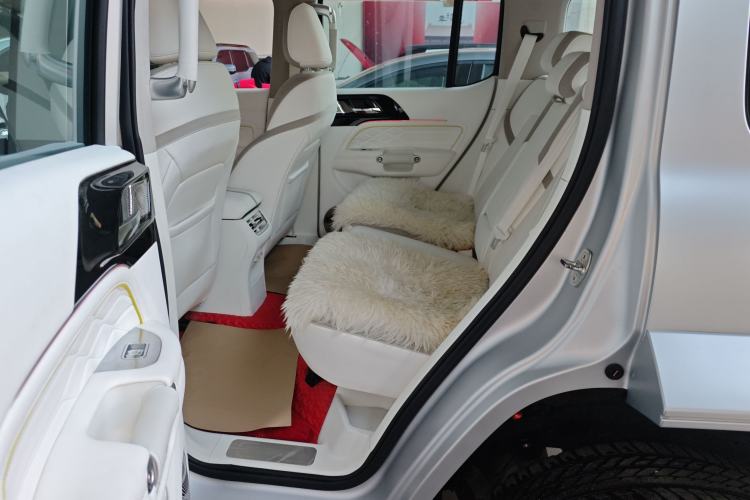 Used Cyberspace Tank 300 2021 2.0T Cyber Tank
