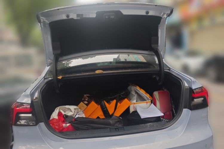 Used Rising ER6 2021 New Dynamic Edition 620km Smart Drive Version
