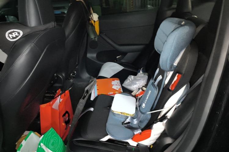 Used Tesla Model Y 2021 Standard Range Rear-Wheel Drive Version