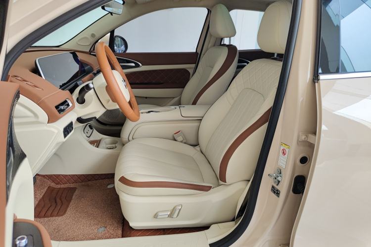 Used ORA Good Cat 2023 401 km Standard Range Premium Trim Ternary Lithium Left Front Seat