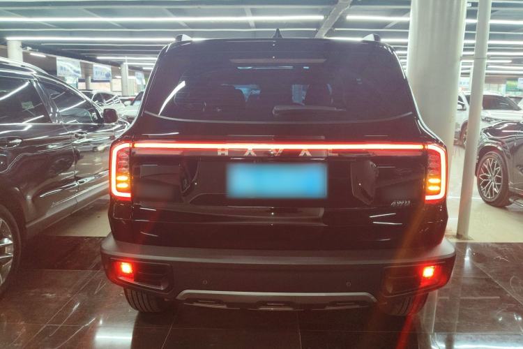 Used Haval DARGO 2024 2.0T DCT Chinese Rural Dog Edition
