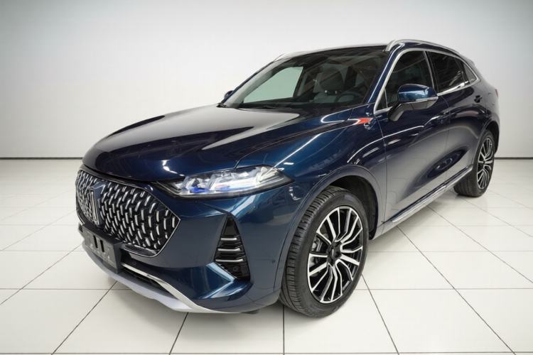 Used Wey Mocha 2021 2.0T Four-Wheel Drive Premium Edition