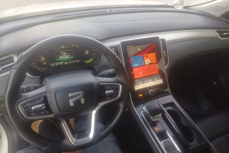 Used Rising ER6 2021 New Dynamic Edition 620km Smart Drive Version