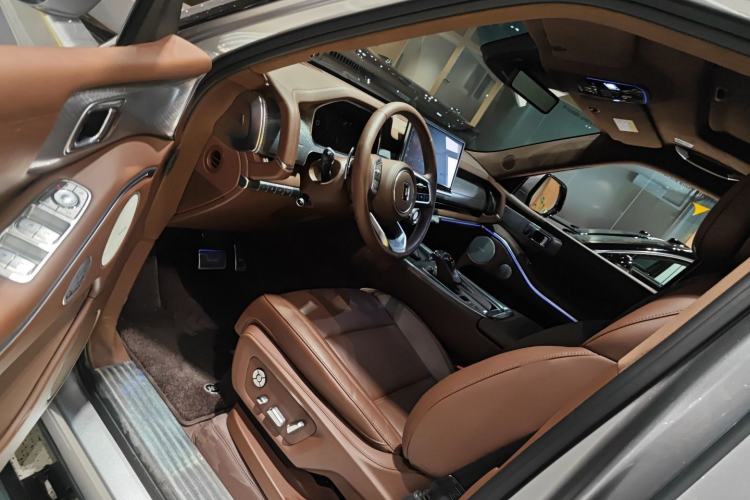 Used Tank 700 New Energy 2024 Hi4-T Extreme Edition Driver Seat