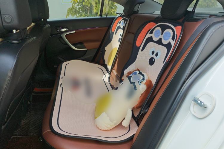 Used Buick Regal 2014 GS 2.0T Passionate Sport Edition Left Rear Seat