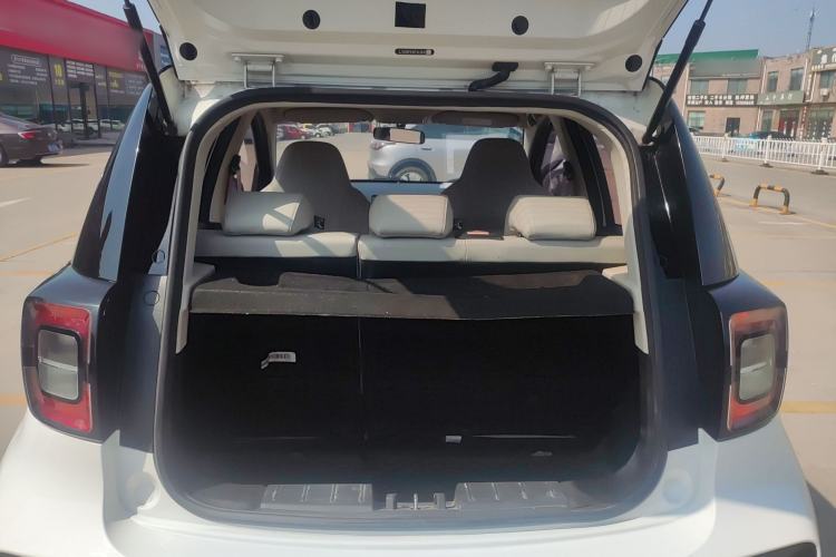 Used SOL E10X 2022 Flower Fairy Design Four-Leaf Clover