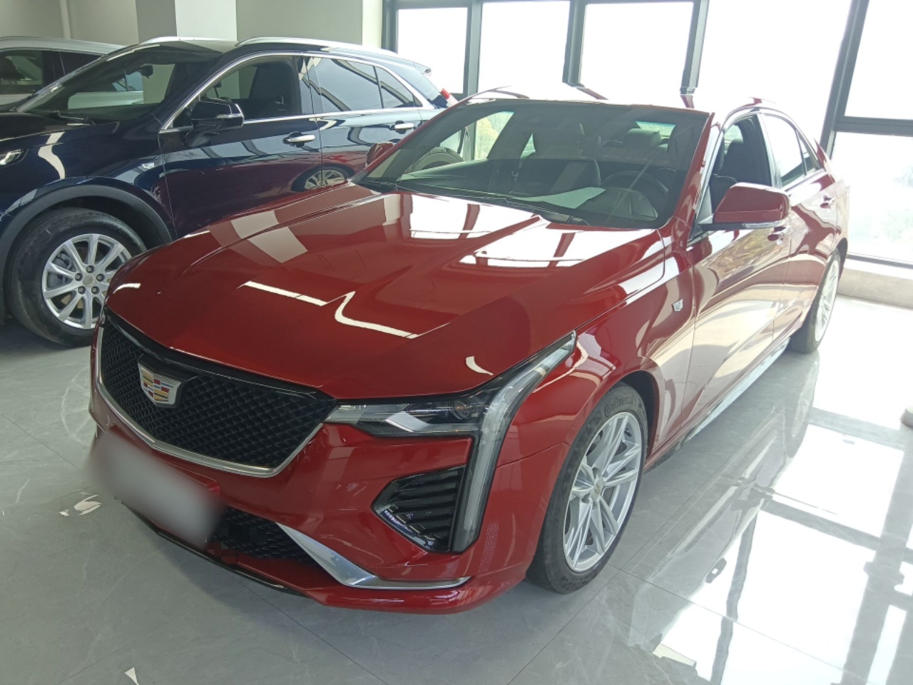 Parte inferior delantera