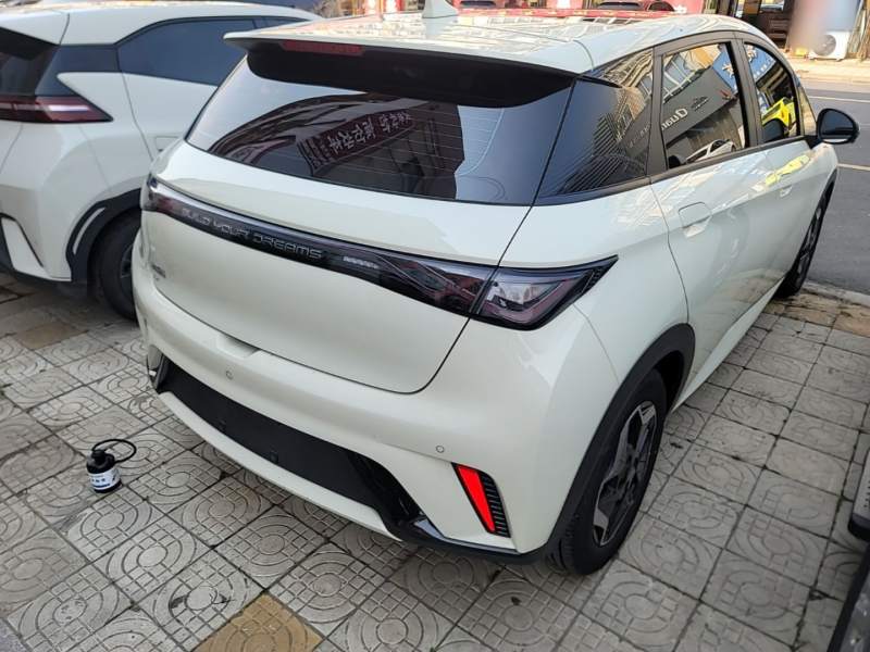 Used BYD Dolphin 2021 405 km Fashion Edition — 6