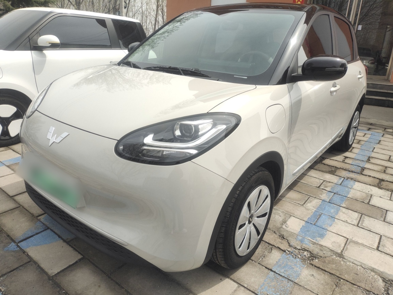 Parte inferior delantera