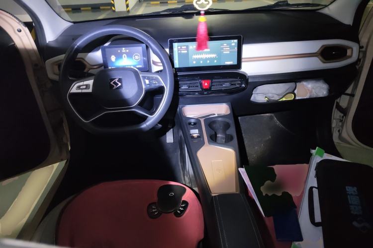 Used SOL E10X 2022 Flower Fairy Design Four-Leaf Clover
