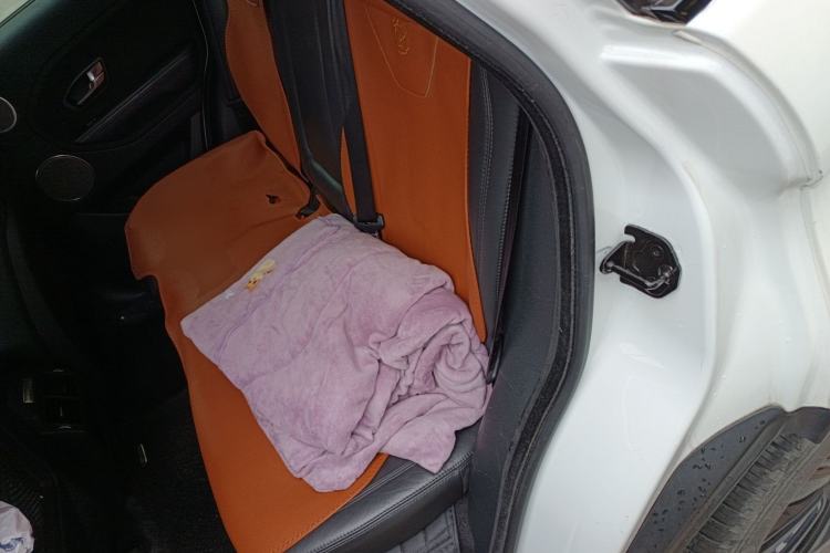 Used Land Rover Range Rover Evoque 2015 2.0T Five-Door Zhiyao Edition
