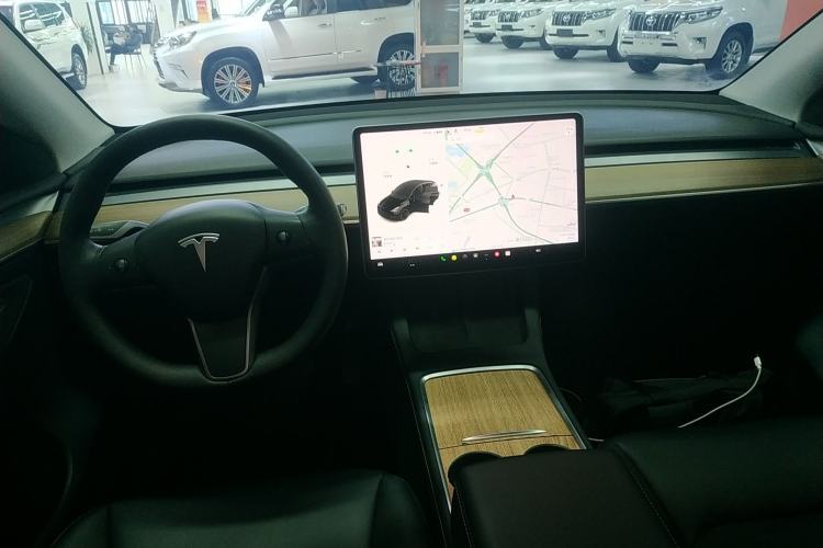 Used Tesla Model Y 2021 Standard Range Rear-Wheel Drive Version
