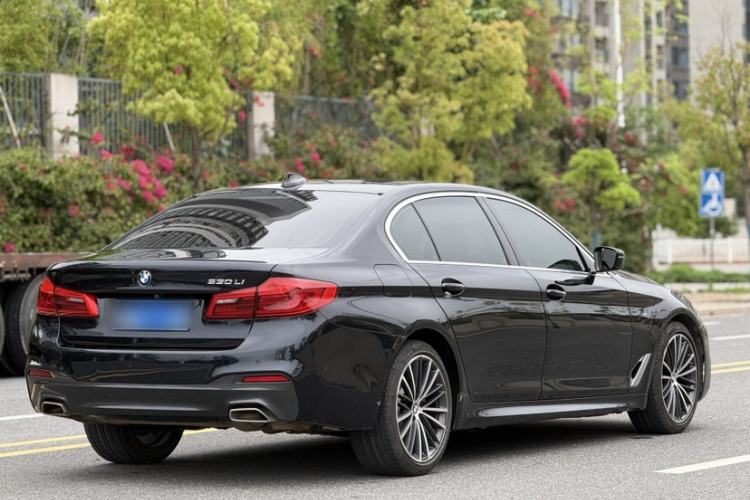 Used BMW 5 Series 2020 530Li Leading Model M Sport Package Exterior 5