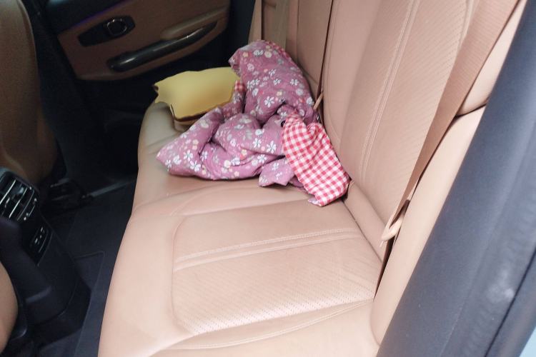 Used Nio ES6 2019 420 km Sport Version Left Rear Seat