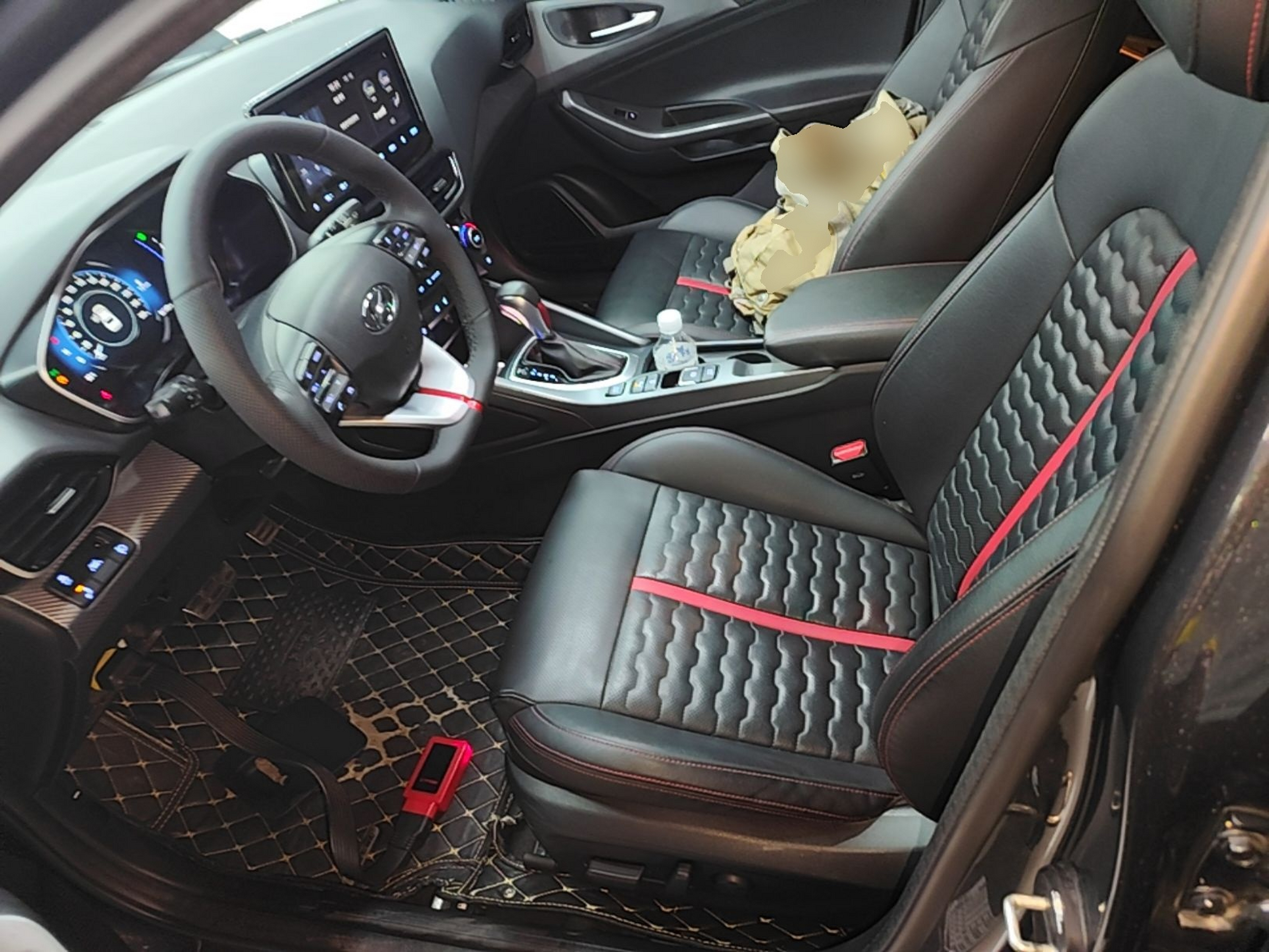 Interior delantero