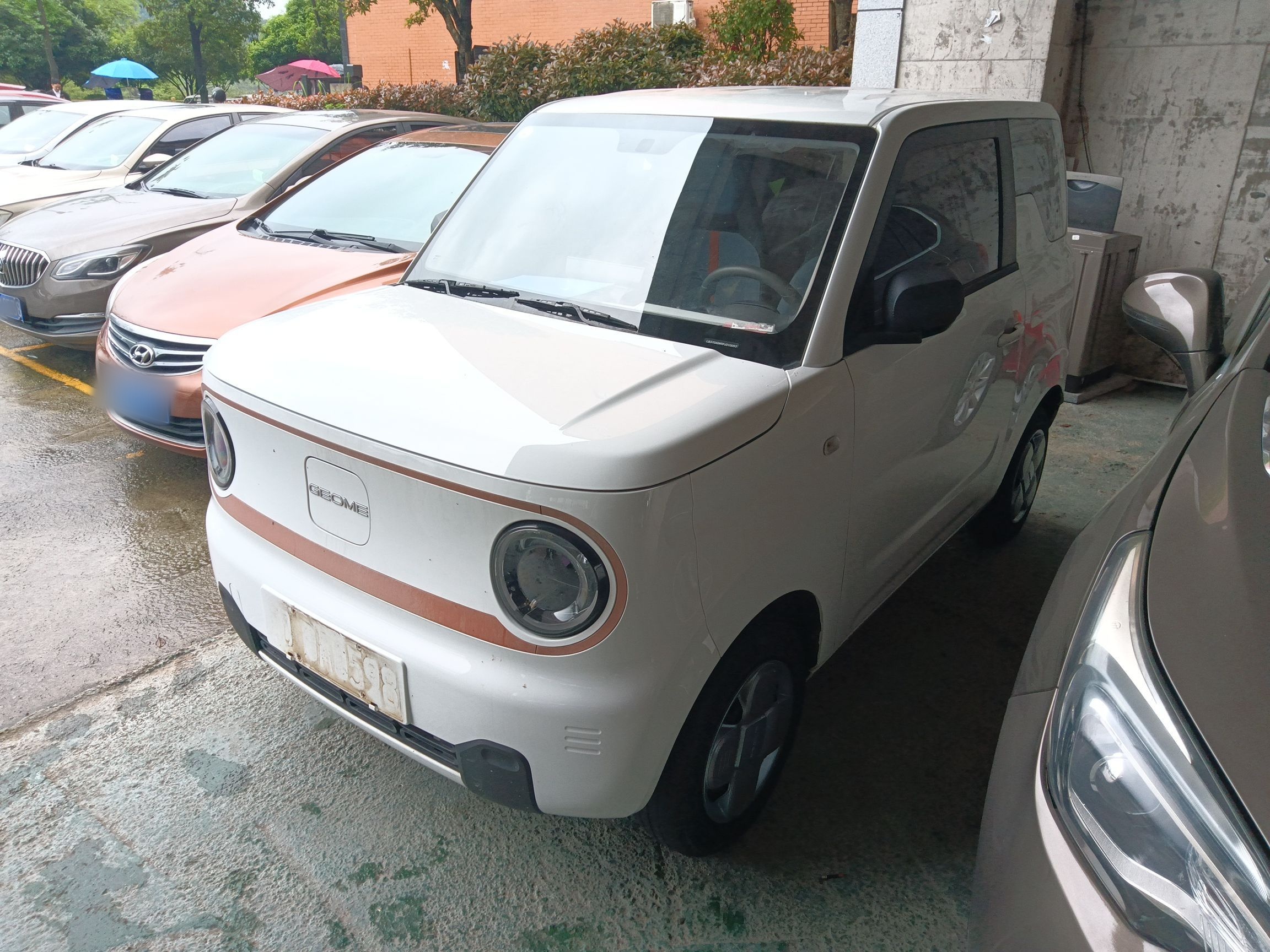 Parte inferior delantera