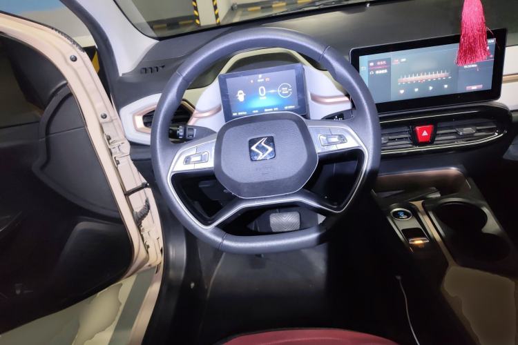 Used SOL E10X 2022 Flower Fairy Design Four-Leaf Clover
