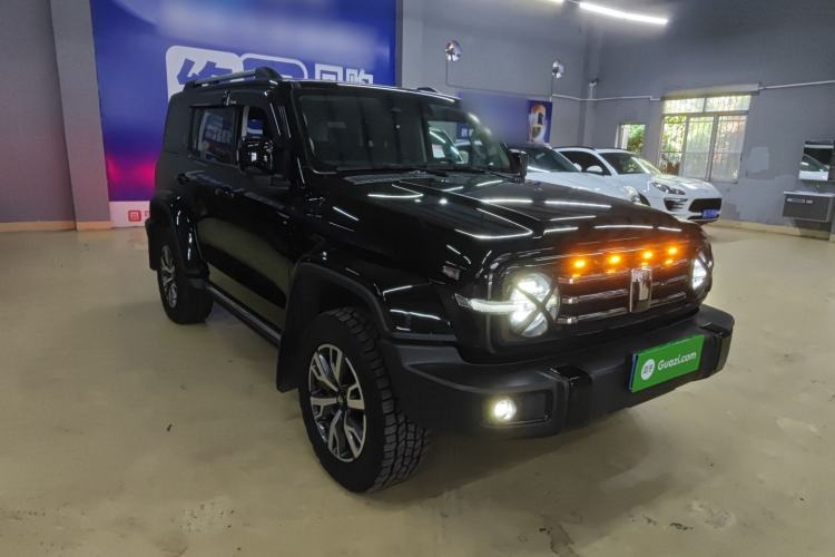 Used Tank 300 2024 2.0T Crosser