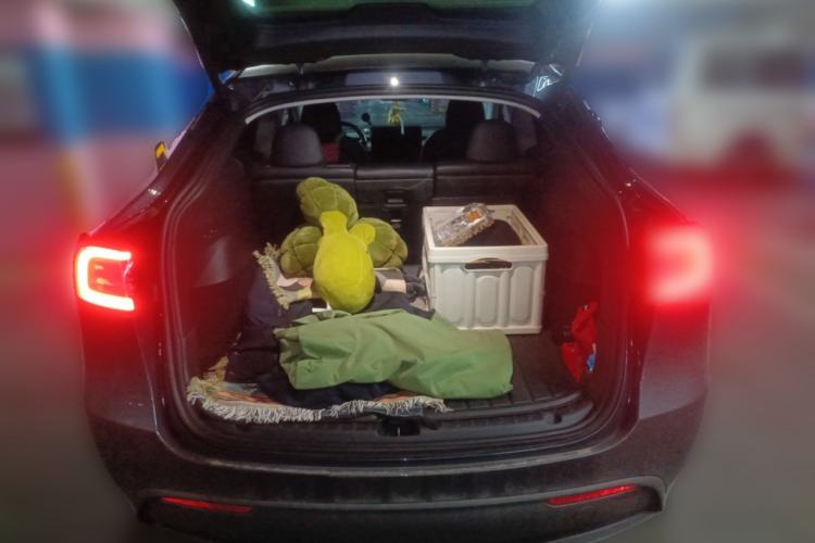 Used Tesla Model Y 2022 Revised Version Rear-Wheel Drive
