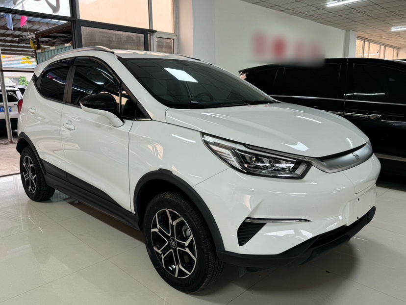 BYD Yuan Pro 2021 "Love for a Lifetime" Edition — снимка 12