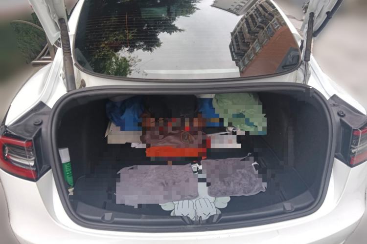 Used Tesla Model 3 2022 Rear-Wheel-Drive Version