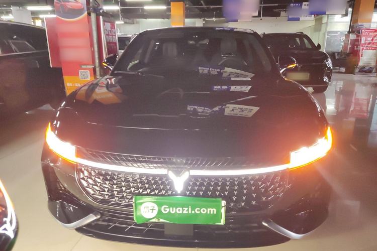 Used VOYAH PASSION 2024 PHEV Four-Wheel Drive Ultra-Long Range Flagship Model