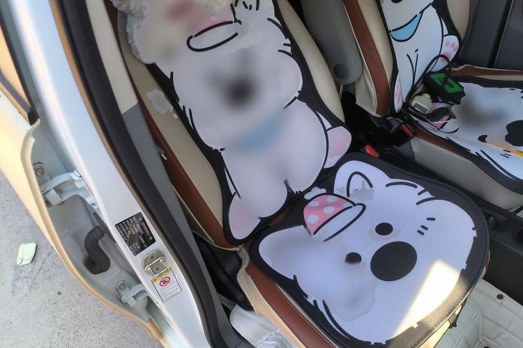 Used ORA White Cat 2022 Upgraded Model 305km Range Luxury Version Lithium-Ion Battery