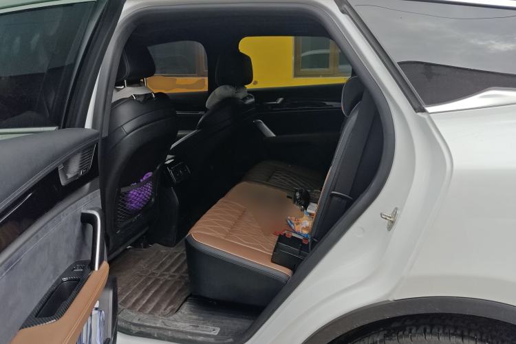 Used BYD Tang New Energy 2021 DM-i 112KM Prestige Model Left Rear Seat