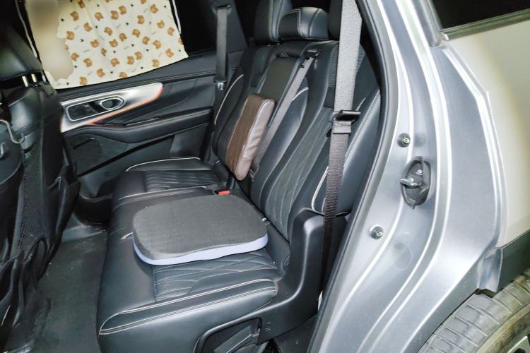 Used GAC Trumpchi GS8 2022 Linghang Series 2.0 TGDI Two-Wheel-Drive Luxury Smart Connectivity Version (7 Seats)